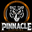 Pinnacle Clothing Online logo